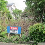 IMG_6281_R