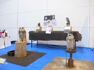 IMG_3191