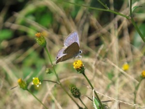 IMG_4247_R
