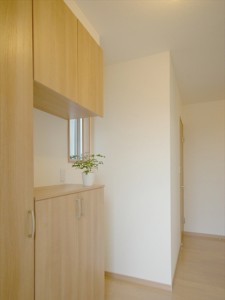 case_img031