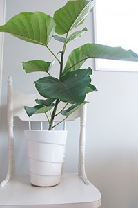 case_img079