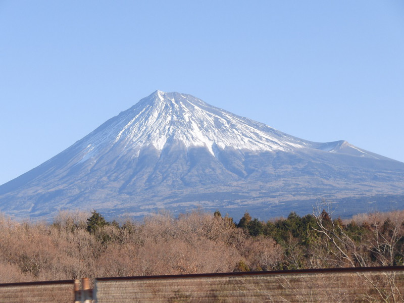 ５０年の歳月