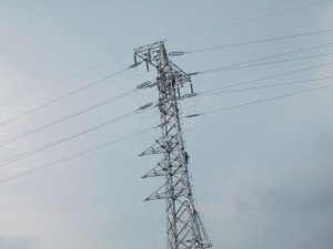 o1500112514235477265