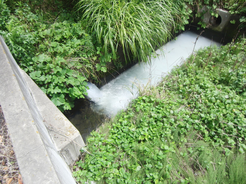 汚染水でなければいいのですが!